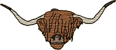 Hochlandkuh