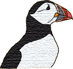 Puffin