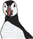 Puffin
