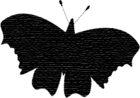 Schmetterling