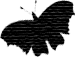 Schmetterling