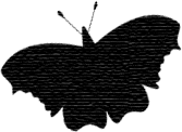 Schmetterling