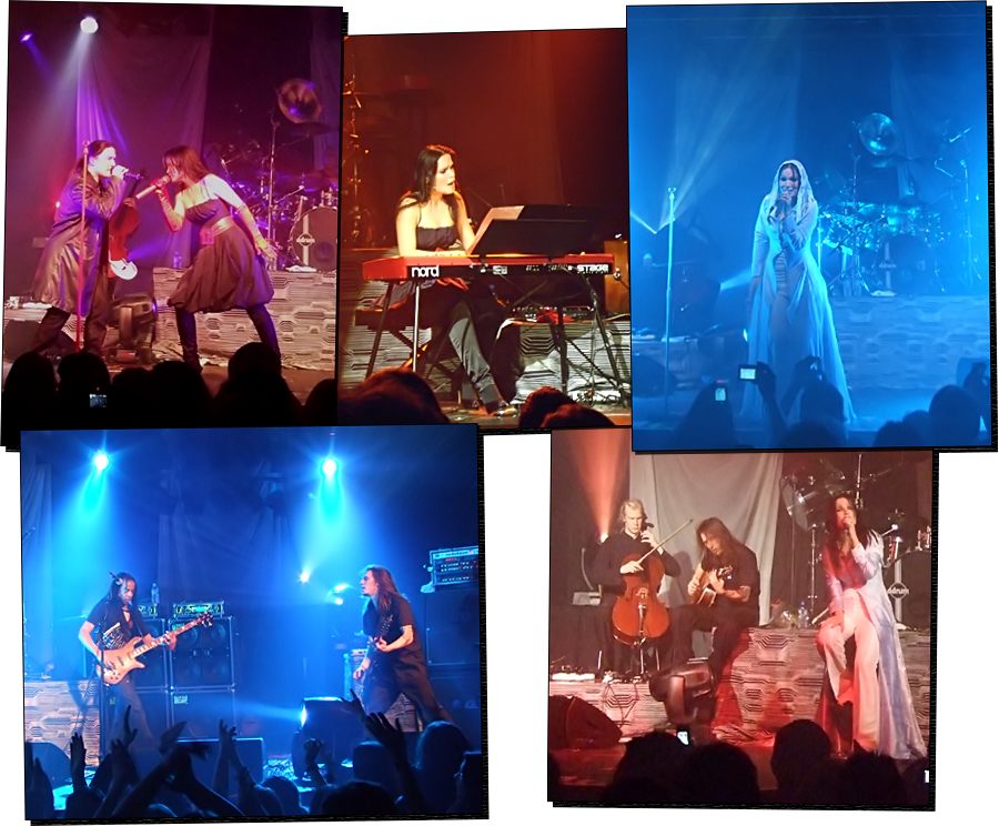 Tarja