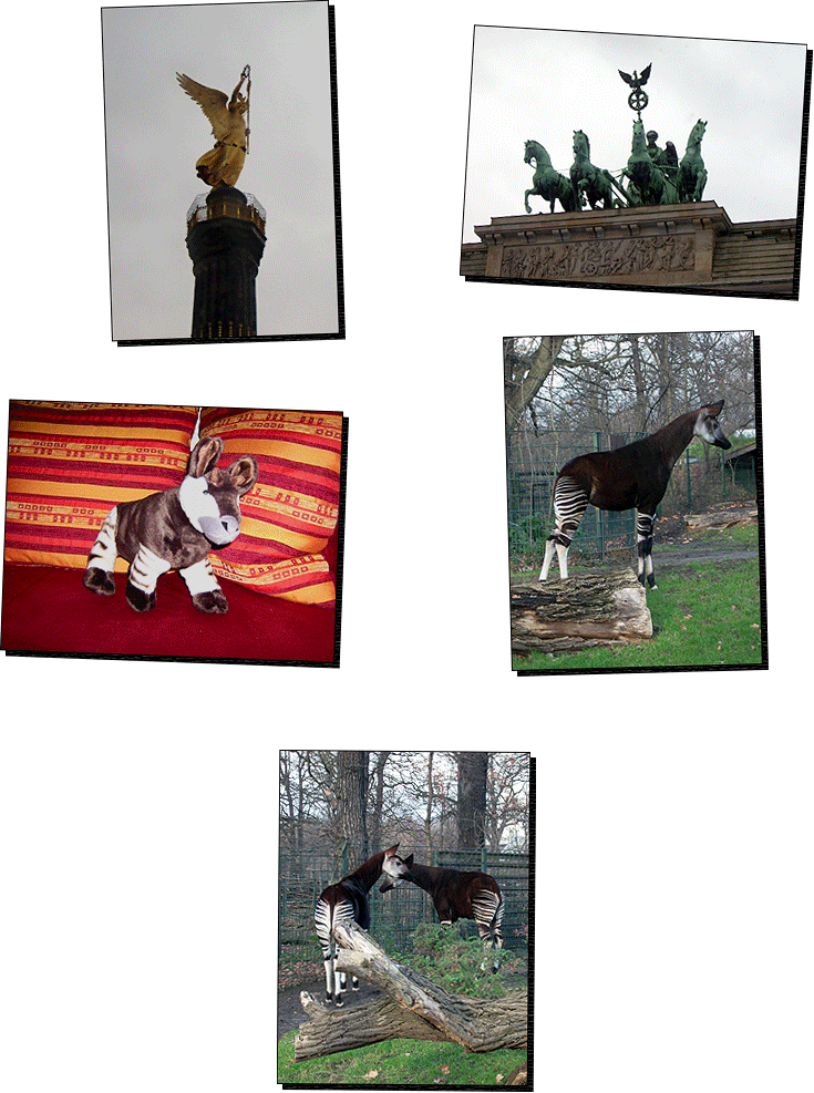 Impressionen