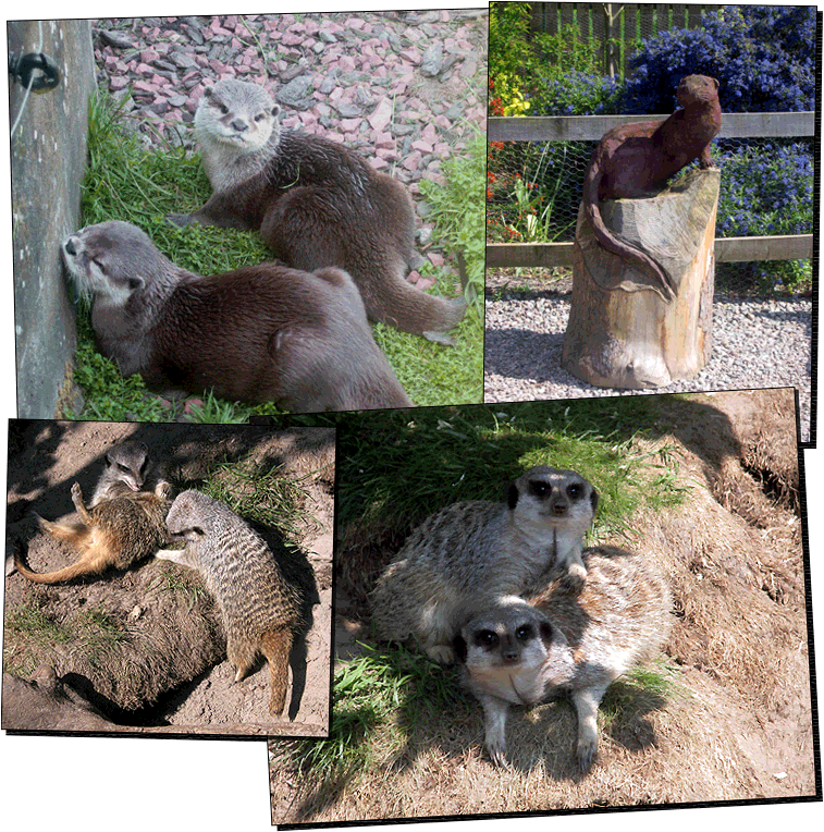 Wildpark
