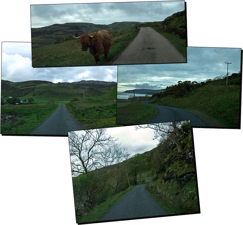 Mull