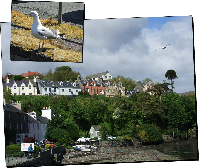 Portree