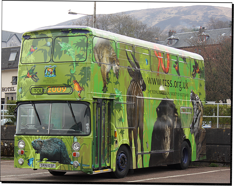 Bus