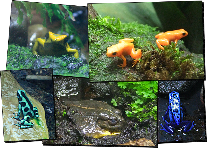 SeaLife01