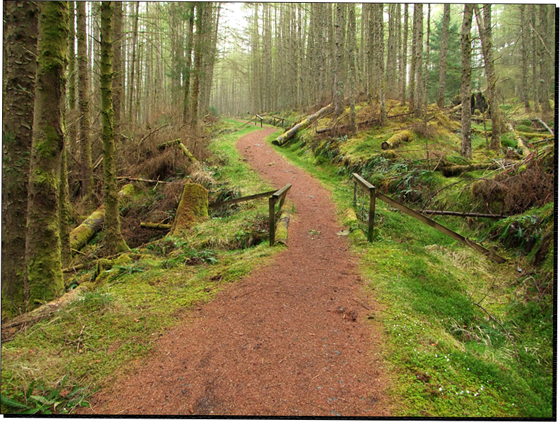 Waldweg